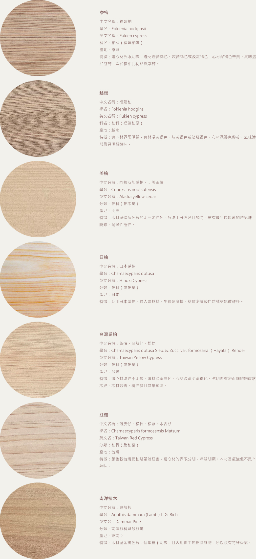 假面台檜 | Eidos 品砌 - 職人講堂